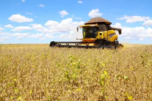 COLHEITA DA SOJA NO OESTE DA BAHIA SE APROXIMA DA METADE DA ÁREA PLANTADA