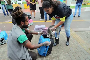 NO ABRIL LARANJA, SALVADOR ALERTA PARA CONSCIENTIZAÇÃO E COMBATE AOS MAUS-TRATOS DE ANIMAIS