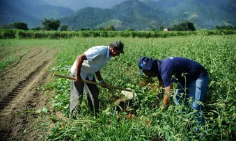NOVA LEI GARANTE SISTEMA DE INSPEÇÃO SANITÁRIA PARA AGRICULTURA FAMILIAR NA BAHIA