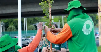 CIDADÃOS PODERÃO PARTICIPAR DA OPERAÇÃO PLANTIO CHUVA 2024 EM SALVADOR