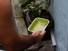 BAHIA TEM 265 MUNICÍPIOS EM EPIDEMIA DE DENGUE
