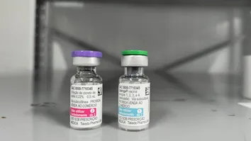BAHIA RECEBE MAIS DE 67 MIL NOVAS DOSES DA VACINA CONTRA A DENGUE