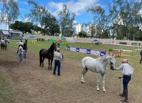 EVENTOS DE NEGÓCIOS MOVIMENTAM ZONAS TURÍSTICAS DA BAHIA