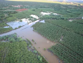 DEFESA CIVIL DO ESTADO INFORMA DADOS SOBRE POPULAÇÃO AFETADA PELAS CHUVAS NA BAHIA