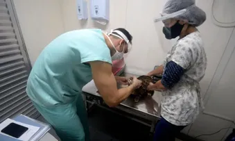 POSTO DE PIRAJÁ PASSA A REALIZAR CASTRAÇÃO DE ANIMAIS; SAIBA QUAL