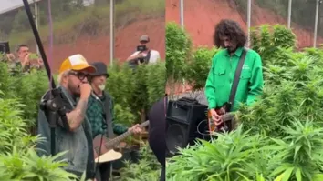 BANDA FAZ APRESENTAÇÃO EM UMA PLANTAÇÃO DE MACONHA