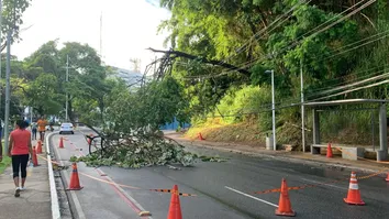 TRÂNSITO NA AVENIDA GARIBALDI É INTERDITADO TEMPORARIAMENTE