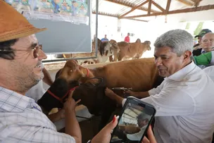 IRECÊ: EXPOSIÇÃO AGROPECUÁRIA E VACINAÇÃO CONTRA FEBRE AFTOSA SÃO DESTAQUES DURANTE VISITA DE JERÔNIMO AO MUNICÍPIO