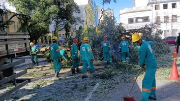 SALVADOR REGISTRA 18 DESLIZAMENTOS E QUEDA DE ÁRVO NESTA QUINTA (18)