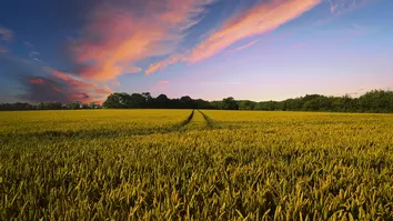 PRODUTORES DE 16 ESTADOS PODERÃO RENEGOCIAR DÍVIDAS DO CRÉDITO RURAL
