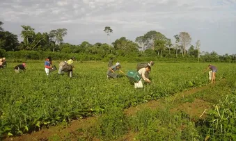 PROGRAMA 'TERRA DA GENTE', DO GOVERNO FEDERAL, DEVE BENEFICIAR 295 FAMÍLIAS ATÉ 2026