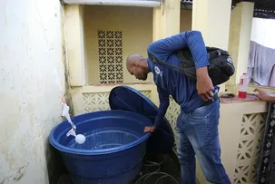 COE AFIRMA QUE BAHIA TEM TENDÊNCIA DE QUEDA DOS CASOS DE DENGUE