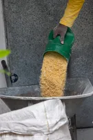 FAMÍLIAS DO SEMIÁRIDO BAIANO CELEBRAM IMPACTOS DO MILHO DISTRIBUÍDO PELO ESTADO