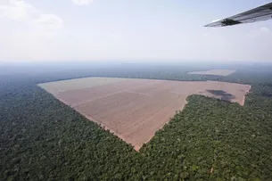 ÁREA DESMATADA NO BRASIL EM 2023 CAI 11,6%, INDICA MAPBIOMAS