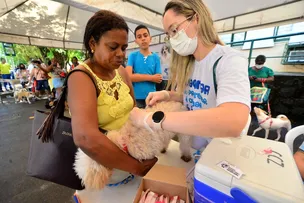 AÇÃO DE PROTEÇÃO ANIMAL REALIZA VACINAÇÃO V10 PARA CÃES NA UNEB: DE 10 A 12 DE JUNHO