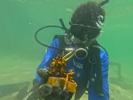 PROJETO MARES REALIZA AÇÕES DE EDUCAÇÃO AMBIENTAL NA ILHA DE ITAPARICA