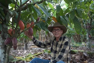 CRESCIMENTO DO COOPERATIVISMO FINANCEIRO IMPACTA NO AGRONEGÓCIO