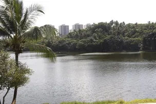 DIA DO MEIO AMBIENTE TERÁ FEIRA DE SUSTENTABILIDADE NO PARQUE DE PITUAÇU