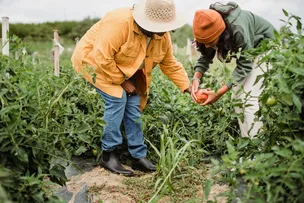 SPM DISCUTE CAPACITAÇÃO EM GÊNERO PARA HOMENS E MULHERES DA AGRICULTURA FAMILIAR
