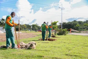 OPERAÇÃO PLANTIO CHUVA ULTRAPASSA DEZ MIL MUDAS PLANTADAS EM 2024