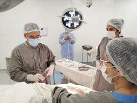 DOAÇÃO DE ÓRGÃOS CRESCE 24% NA BAHIA EM 2024