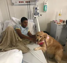 HOSPITAL ORTOPÉDICO DO ESTADO IMPLEMENTA TERAPIA ASSISTIDA POR ANIMAIS PARA AUXILIAR NO TRATAMENTO DE PACIENTES