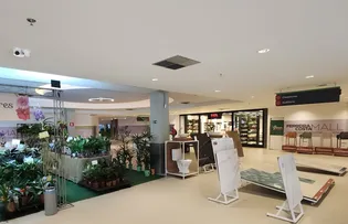 FERREIRA COSTA DOS BARRIS INAUGURA LOJAS DE FAST FOOD E COSMÉTICO