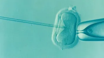 EXAME PREVINE DOENÇAS GENÉTICAS DO BEBÊ ANTES QUE GRAVIDEZ ACONTEÇA