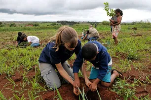 LEI INCLUI MUDANÇA CLIMÁTICA E BIODIVERSIDADE NA EDUCAÇÃO AMBIENTAL
