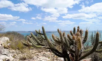 GOVERNO DO ESTADO FORTALECE GESTÃO AMBIENTAL EM 246 MUNICÍPIOS