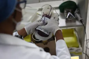 BOA PARTE DO SANGUE DOADO AO HEMOBA É DESCARTADO; ENTENDA