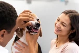 SAÚDE ORAL DE CÃES E GATOS SERÁ FOCO DE AÇÃO PREVENTIVA DA CLIVET NO SÁBADO (10)