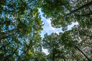 HIDROGÊNIO DE BAIXA EMISSÃO DE CARBONO: NORDESTE TEM POTENCIAL PARA SER POLO IMPORTANTE NO BRASIL