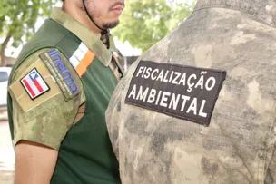 BAHIA REDUZIU EM 52% O DESMATAMENTO NA ÁREA DO MATOPIBA