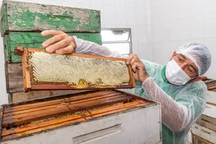 COOPERATIVAS BAIANAS INSPIRAM MODELOS GLOBAIS E REAFIRMAM O PAPEL DO ESTADO NA AGRICULTURA FAMILIAR