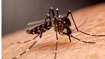 PRESIDENTE EDITA MEDIDA PROVISÓRIA QUE CRIA APOIO FINANCIERO À PESSOA COM DEFICIÊNCIA CAUSADA PELO VÍRUS ZIKA
