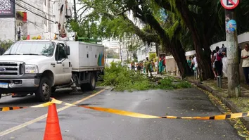 VENTOS FORTES DERRUBAM ÁRVORES NA BARRA E ONDINA