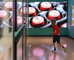 BAHIA DEVE GANHAR MUSEU DO CHOCOLATE EM BREVE; SAIBA MAIS