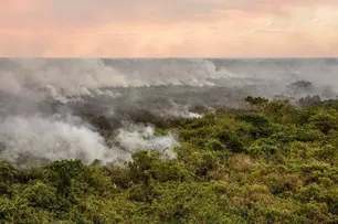 ÁREA ATINGIDA POR QUEIMADAS NO BRASIL É EQUIVALENTE AO ESTADO DA PARAÍBA