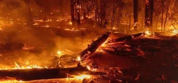 GOVERNO ANUNCIA R$ 514 MILHÕES PARA COMBATER INCÊNDIOS FLORESTAIS