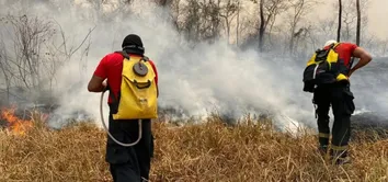 GOVERNO DO ESTADO INTENSIFICA AÇÕES DE PREVENÇÃO E COMBATE AOS INCÊNDIOS FLORESTAIS NA BAHIA