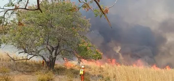 GOVERNADORES PEDEM PUNIÇÃO RIGOROSA PARA INCÊNDIOS CRIMINOSOS