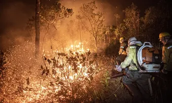 BRASIL TEVE 11,39 MILHÕES DE HECTARES ATINGIDOS PELO FOGO ESTE ANO