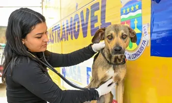 CASTRAMÓVEL CHEGA A VITÓRIA DA CONQUISTA NESTA SEXTA-FEIRA (13)