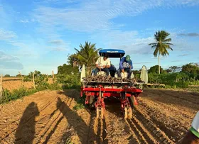 APESAR DE RECORDE NA PRODUÇÃO DE GRÃOS, VALOR DA AGRICULTURA BAIANA TEM QUEDA DE 6,0% ENTRE 2022 E 2023