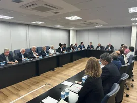 VLI GARANTE MANTER OPERAÇÃO DO CORREDOR MINAS-BAHIA DA FERROVIA CENTRO-ATLÂNTICA ATÉ NOVO OPERADOR ASSUMIR MODAL