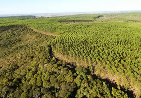 BRACELL É RECONHECIDA PELA PRIMEIRA VEZ NO PRÊMIO EXPRESSÃO DE ECOLOGIA