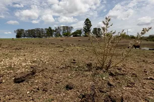 ADIAMENTO DE PARCELAS DE DÍVIDAS RURAIS DE ATINGIDOS POR SECA OU INUNDAÇÃO É VETADO