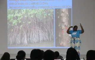 ACELEN APOIA PROJETO DE EDUCAÇÃO AMBIENTAL E REPLANTIO DE MANGUE
