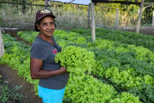 HORTA COMUNITÁRIA EM CAMACAN GERA RENDA E ABASTECE PROGRAMAS INSTITUCIONAIS DE ALIMENTAÇÃO
